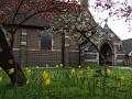 2014-0328-1335_All_Saints_Church_Hackbridge_13C